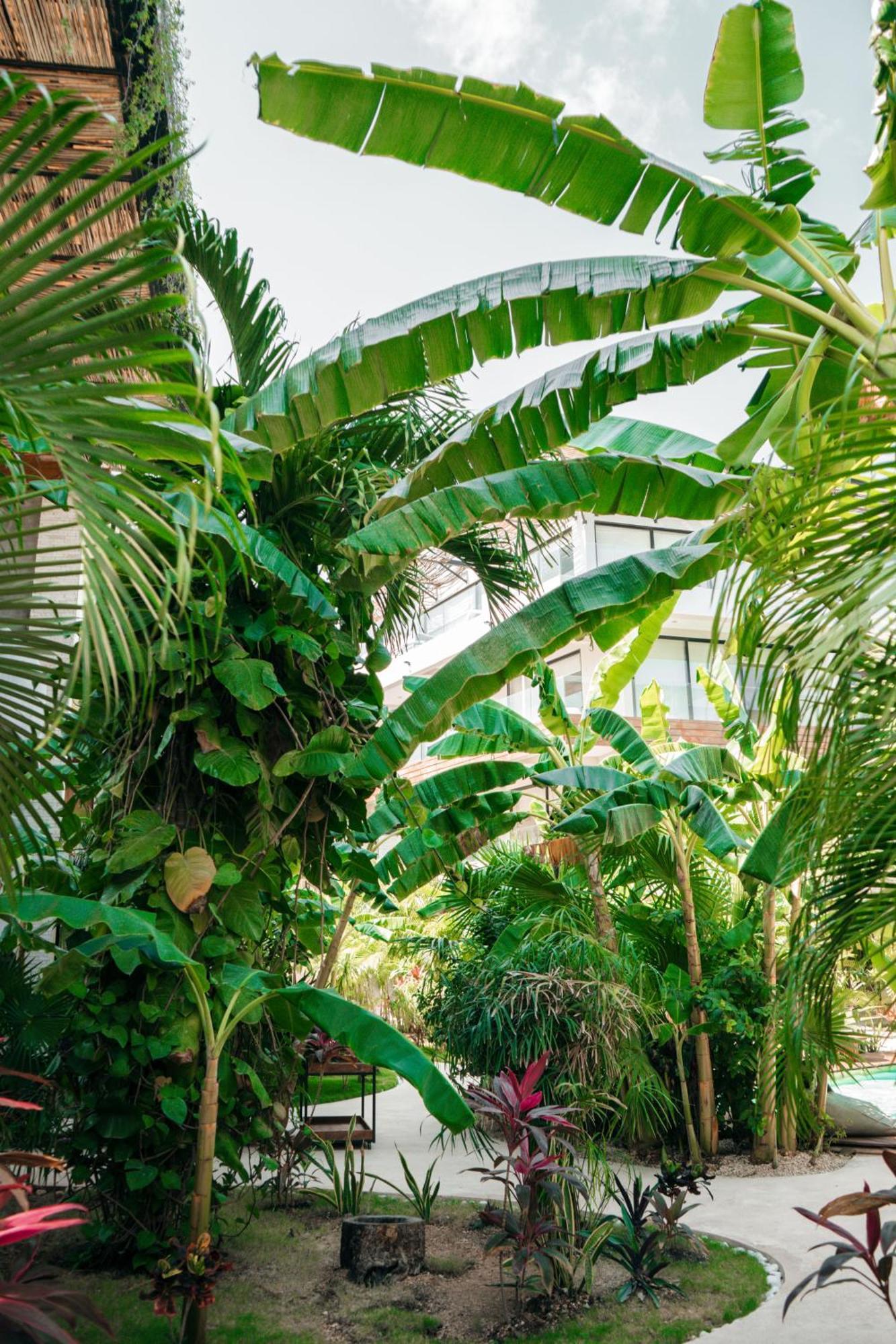 Апартаменты Kinah Retreat - Exclusive Boho Tropical Escape Тулум Экстерьер фото